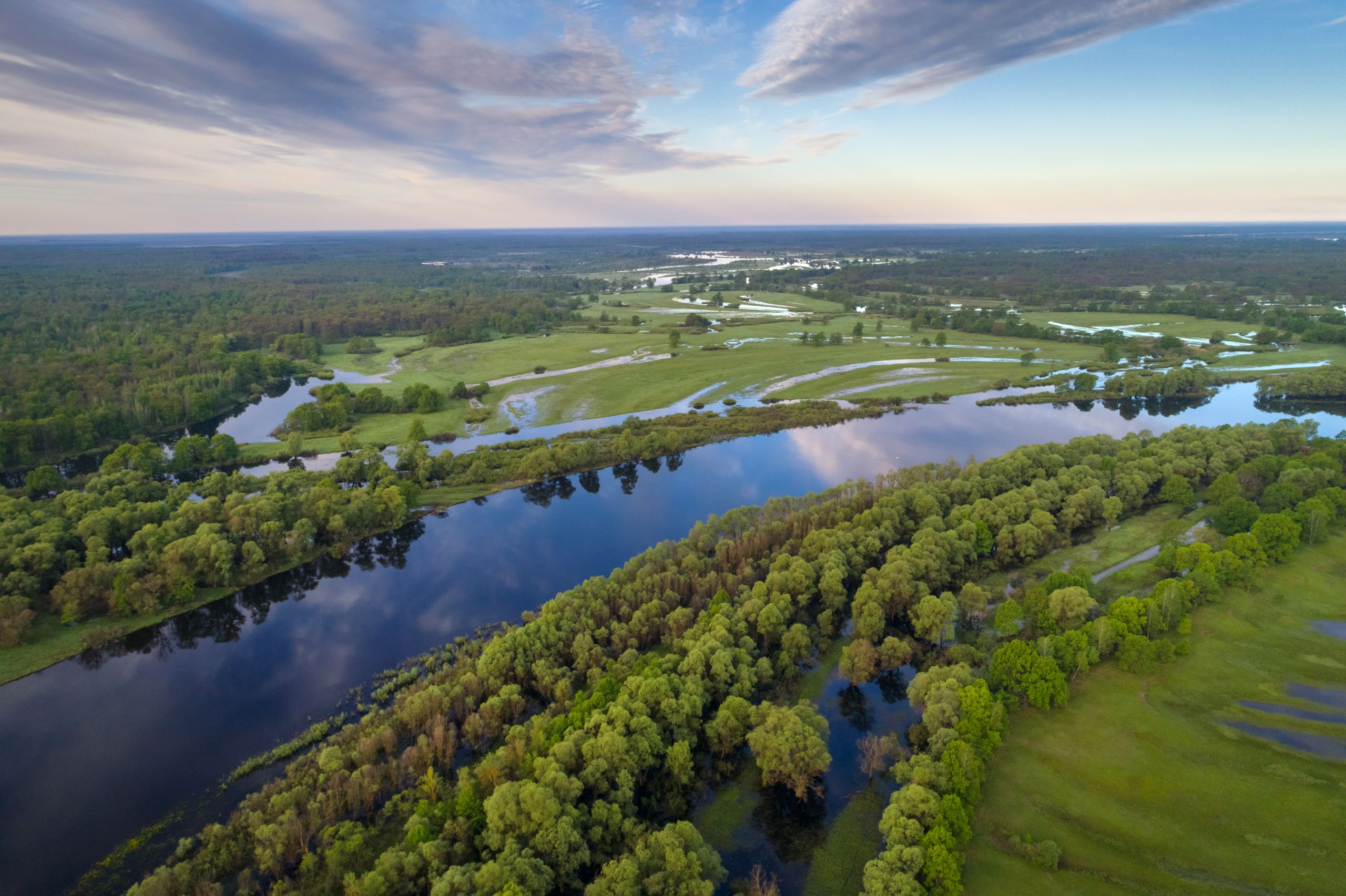 Природа беларуси фото The Endangered Landscapes Programme awarded second phase of funding to restore m