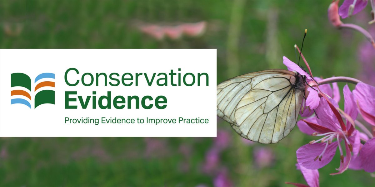 Conservation Evidence | Support Cambridge